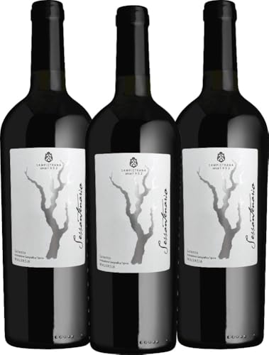 Sessantenario Malvasia Salento IGT - Cantina Sampietrana Rotwein 3 x 0,75 l mit VINELLO.weinausgießer - VINELLO 3er Weinpaket Sessantenario Malvasia Salento IGT - Cantina Sampietrana Rotwein 3 x 0,75 l mit VINELLO.weinausgießer - VINELLO 3er Weinpaket von Cantina Sampietrana