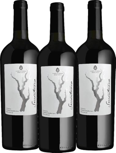 Sessantenario Malvasia Salento IGT 2019 - Cantina Sampietrana Rotwein 3 x 0,75 l mit VINELLO.weinausgießer - VINELLO 3er Weinpaket von Cantina Sampietrana