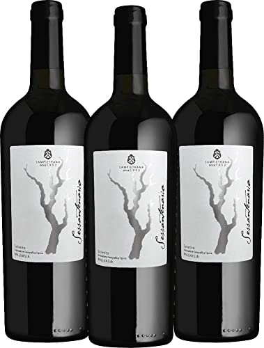 Sessantenario Malvasia Salento IGT 2019 - Cantina Sampietrana Rotwein 3 x 0,75 l mit VINELLO.weinausgießer - VINELLO 3er Weinpaket von Cantina Sampietrana