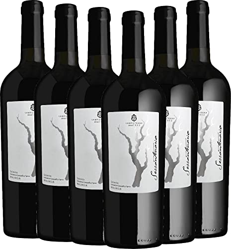 Sessantenario Malvasia Salento IGT - Cantina Sampietrana Rotwein 6 x 0,75 l mit VINELLO.weinausgießer - VINELLO 6er Weinpaket Sessantenario Malvasia Salento IGT - Cantina Sampietrana Rotwein 6 x 0,75 l mit VINELLO.weinausgießer - VINELLO 6er Weinpaket von Cantina Sampietrana