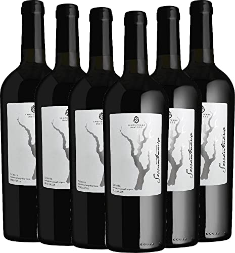 Sessantenario Malvasia Salento IGT 2019 - Cantina Sampietrana Rotwein 6 x 0,75 l mit VINELLO.weinausgießer - VINELLO 6er Weinpaket von Cantina Sampietrana