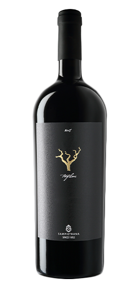"Tre Filari" Salento IGP Primitivo 2022 "Tre Filari" Salento IGP Primitivo 2022 von Cantina Sampietrana