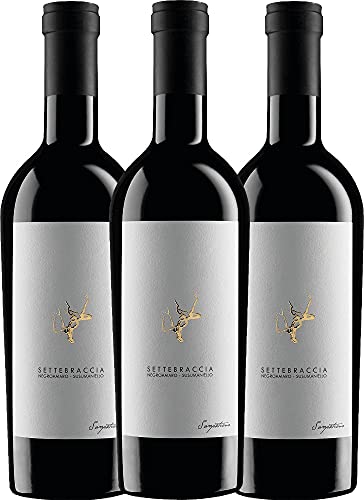 Settebraccia Rosso von Cantina Sampietrana - Rotwein 3 x 0,75l VINELLO - 3er - Weinpaket inkl. kostenlosem VINELLO.weinausgießer Settebraccia Rosso von Cantina Sampietrana - Rotwein 3 x 0,75l VINELLO - 3er - Weinpaket inkl. kostenlosem VINELLO.weinausgießer von Cantina Sampietrana