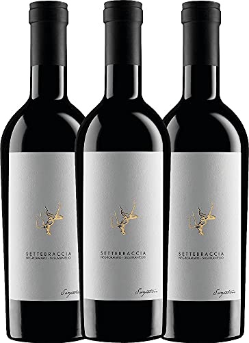 Settebraccia Rosso von Cantina Sampietrana - Rotwein 3 x 0,75l 2019 VINELLO - 3er - Weinpaket inkl. kostenlosem VINELLO.weinausgießer von Cantina Sampietrana