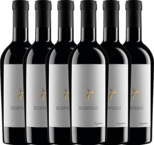 Settebraccia Rosso von Cantina Sampietrana - Rotwein 6 x 0,75l VINELLO - 6er - Weinpaket inkl. kostenlosem VINELLO.weinausgießer Settebraccia Rosso von Cantina Sampietrana - Rotwein 6 x 0,75l VINELLO - 6er - Weinpaket inkl. kostenlosem VINELLO.weinausgießer von Cantina Sampietrana