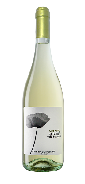 Verdeca Salento IGP BIO 2023 Verdeca Salento IGP BIO 2023 von Cantina Sampietrana
