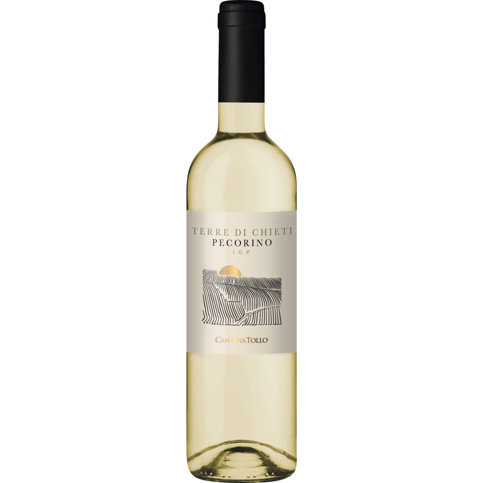 Tollo Pecorino, Terre di Chieti IGP, Abruzzen, 2022, Weißwein von Cantina Tollo S.C.A. - Tollo (CH)- Italia
