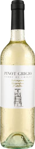 Tollo Pinot Grigio Terre di Chieti IGP 2022 (0.75l) trocken von Tollo