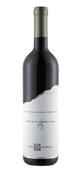 "Capitolo 4" Lacrima di Morro d'Alba DOC 2022 von Cantina dei Colli Ripani