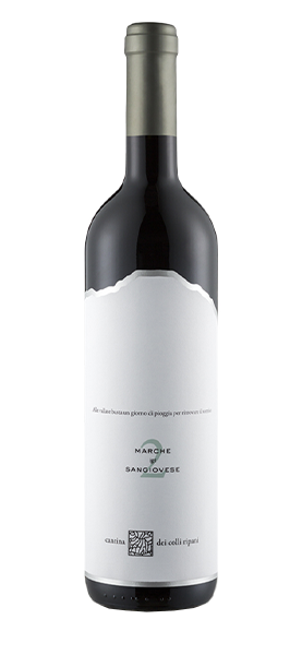 "Capitolo 2" Marche Sangiovese IGT 2024 von Cantina dei Colli Ripani