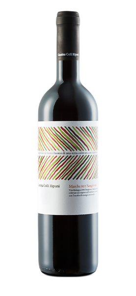 Sangiovese Marche IGT 2022 von Cantina dei Colli Ripani