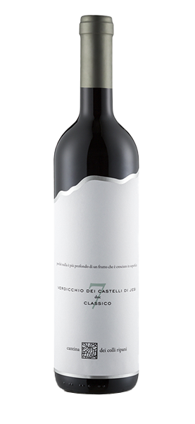 "Capitolo 7" Verdicchio dei Castelli di Jesi Classico DOC 2023 von Cantina dei Colli Ripani