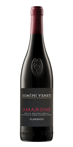 "Domini Veneti" Amarone della Valpolicella DOCG Classico 2020 von Cantina di Negrar