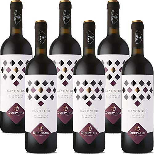 Canonico Negramaro Salento IGP | Cantina Due Palme | Confezione da 6 Bottiglie da 75 Cl | Vino Rosso del Salento | Idea Regalo von Cantina due Palme