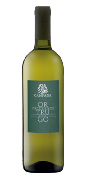 Ortrugo Colli Piacentini DOC 2023 Ortrugo Colli Piacentini DOC 2023 von Cantine Campana