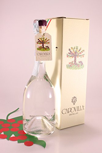 Destillat aus Schlehdorn 41% 50 cl. - Capovilla Distillati von Capovilla Distillati