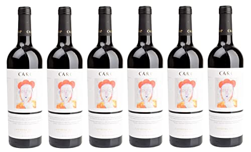 6x 0,75l - Care - Cariñena Nativa - Cariñena D.O. - Spanien - Rotwein trocken von Care