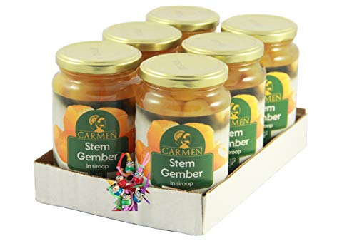 [ 6x 450g/ 240g ATG ] CARMEN Ingwer in Sirup Ginger in Syrup Gember + ein kleiner Glücksanhänger gratis von CARMEN
