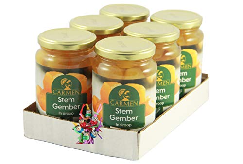 [ 6x 450g/ 240g ATG ] CARMEN Ingwer in Sirup Ginger in Syrup Gember + ein kleines Glückspüppchen - Holzpüppchen von Carmen