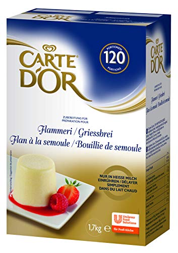 Carte d'Or Dessert Spezialität für Flammeri und Grießbrei (mit Sahne Vanille Geschmack) 1er Pack (1 x 1,7kg) von Carte d'Or