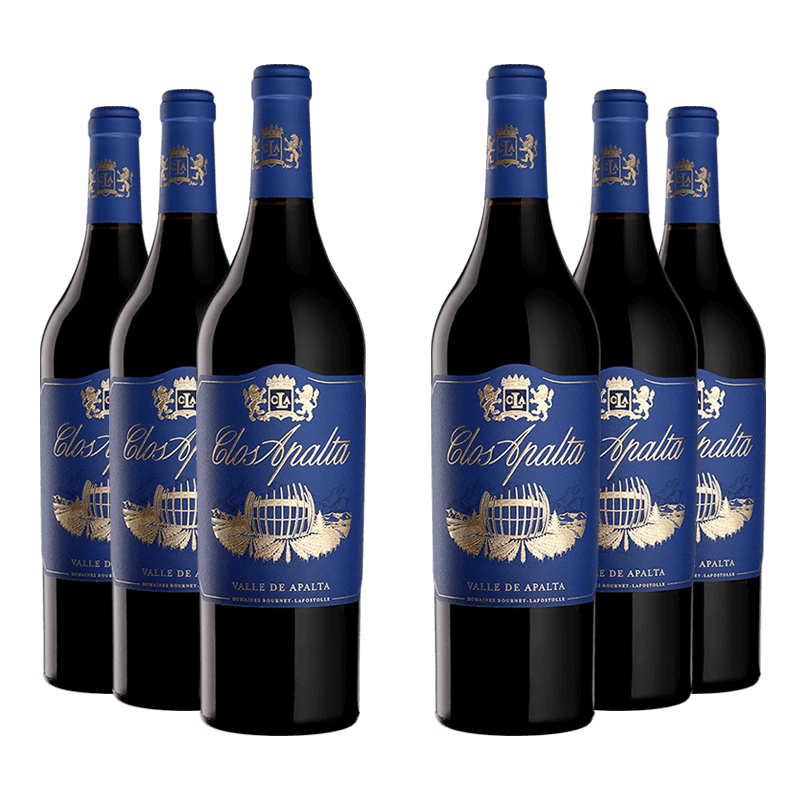 Clos Apalta 2019 Clos Apalta 2019 von Clos Apalta