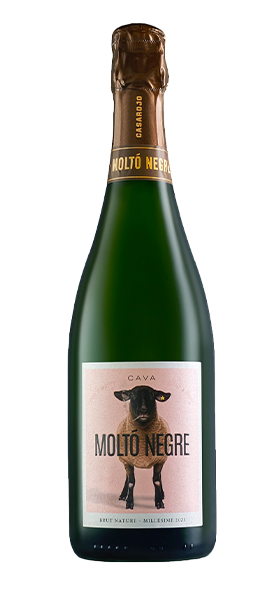 "Molto Negre" Brut Nature Rosé Cava von Casa Rojo