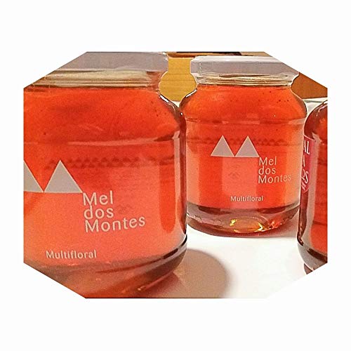 Honig glas 1Kg aus Trás-Os-Montes (PORTUGAL) Naturprodukt Terre Chaude Multifloral. 100% NATÜRLICHER HONIG: Produktionsstöcke werden nicht chemisch behandelt von Casa da Marquinhas