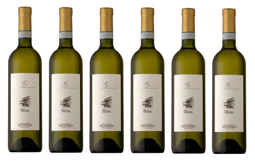 6x 0,75l - Pasetto Emilio - Cascina Albarone - Lugana D.O.P. - Lombardei - Italien - Weißwein trocken von Cascina Albarone