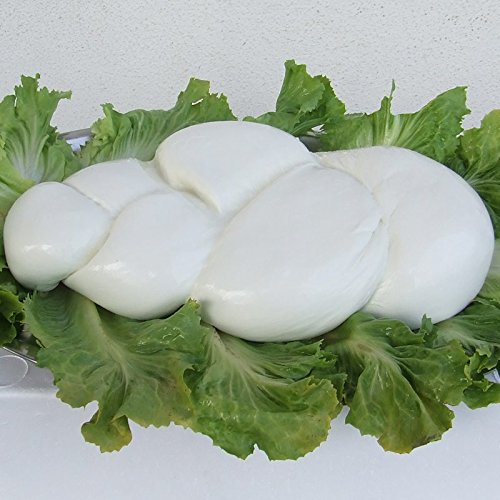 Treccione Mozzarella di Bufala (3 kg) von Caseificio Santa Rita