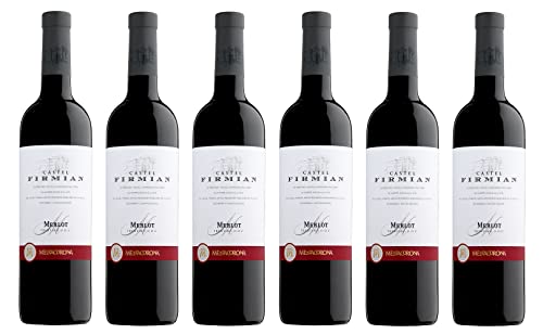 6x 0,75l - 2020er - Castel Firmian - Merlot - Trentino D.O.C. - Italien - Rotwein trocken von Castel Firmian