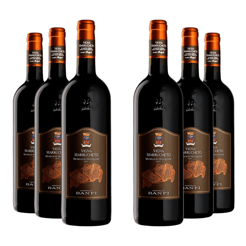 Castello Banfi : Vigna Marrucheto 2019 Castello Banfi : Vigna Marrucheto 2019 von Castello Banfi