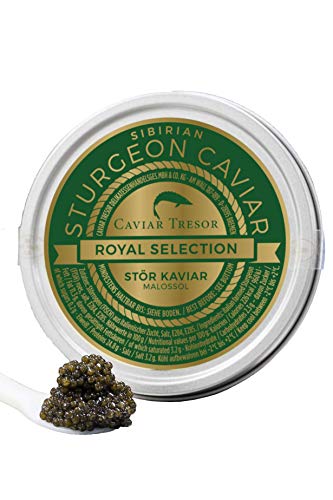 Italienischer Ossietra Baeri x Naccari Kaviar 500 gr. von Caviar Tresor