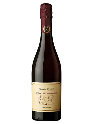 Lambrusco Grasparossa Di Castelvetro Secco Col Sassoso Cavicchioli Cl 75 von Cavicchioli