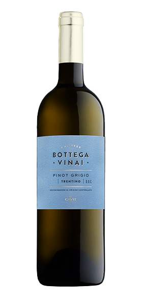 "Bottega Vinai" Pinot Grigio Trentino DOC 2023 von Cavit