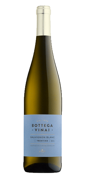 Bottega Vinai Sauvignon Blanc Trentino DOC von Cavit