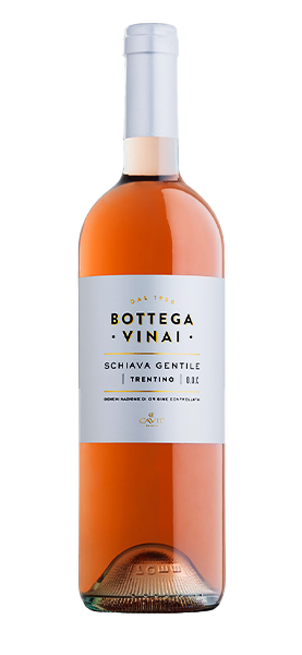 "Bottega Vinai" Schiava Gentile Trentino DOC 2024 von Cavit