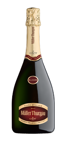 Müller Thurgau "Cuvée Speciale" Brut Dolomiti IGT von Cavit