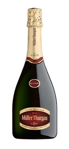 Müller Thurgau "Cuvée Speciale" Brut Dolomiti IGT von Cavit