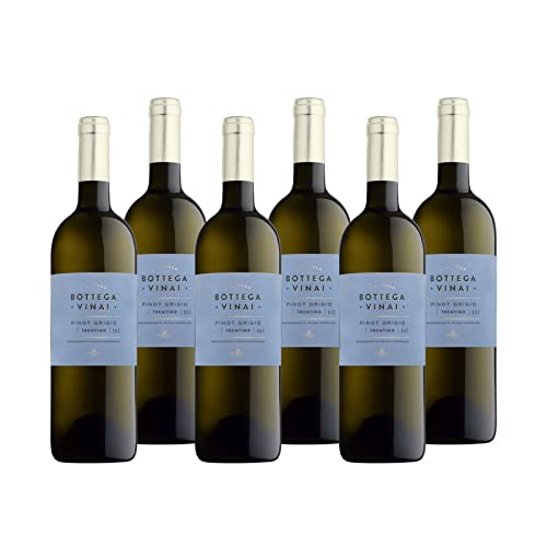 Pinot Grigio Trentino DOC "Bottega Vinai" Weißwein Trentin trocken (6 x 0.75l) von Cavit