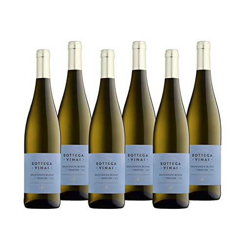 Sauvignon Blanc Trentino DOC "Bottega Vinai" Weißwein Trentin trocken (6 x 0.75l) von Cavit