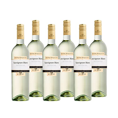 Sauvignon Blanc Trentino DOC "Mastri Vernacoli" Weißwein Trentin trocken (6 x 0.75l) von Cavit