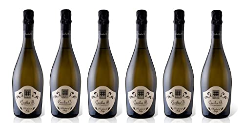 6x 0,75l - Cecilia Beretta - "Cecilia B."- Bianco Spumante extra dry - Veneto I.G.P. - Italien - Schaumwein 6x 0,75l - Cecilia Beretta - "Cecilia B."- Bianco Spumante extra dry - Veneto I.G.P. - Italien - Schaumwein von Cecilia Beretta