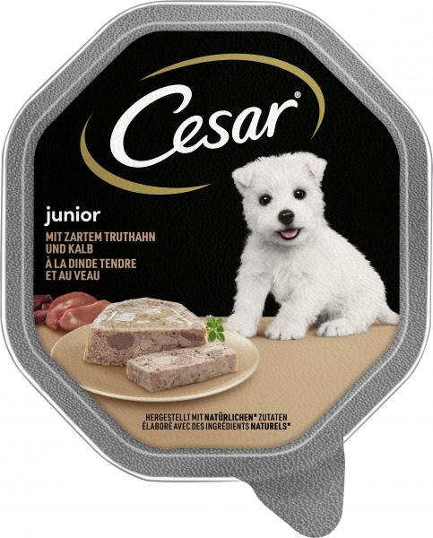 Cesar Junior mit zartem Truthahn und Kalb von Cesar