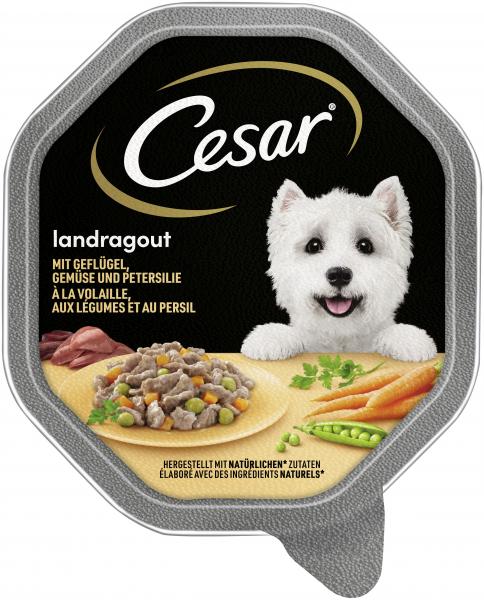 Cesar Landragout mit Geflügel, Gemüse und Petersilie von Cesar