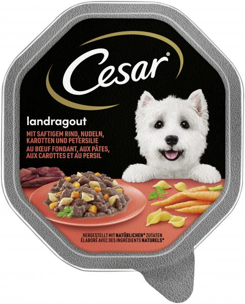Cesar Landküche Rind, Pasta & Karotten in Sauce von Cesar