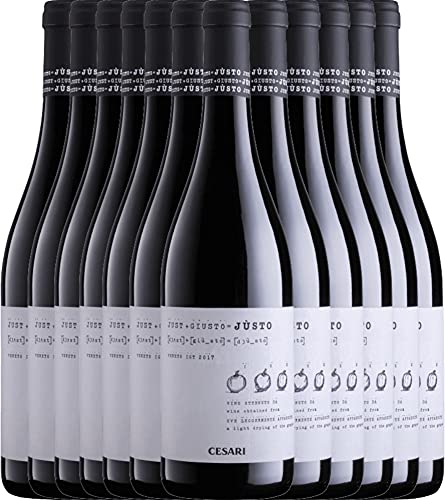 VINELLO 12er Weinpaket Rotwein - Jústo Appassimento Veneto IGT 2019 - Cesari mit einem VINELLO.weinausgießer | 12 x 0,75 Liter von Cesari