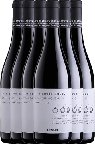 VINELLO 6er Weinpaket Rotwein - Jústo Appassimento Veneto IGT 2019 - Cesari mit einem VINELLO.weinausgießer | 6 x 0,75 Liter von Cesari