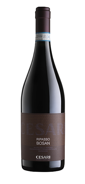 Valpolicella Ripasso DOC Superiore "Bosan" 2019 Valpolicella Ripasso DOC Superiore "Bosan" 2019 von Cesari