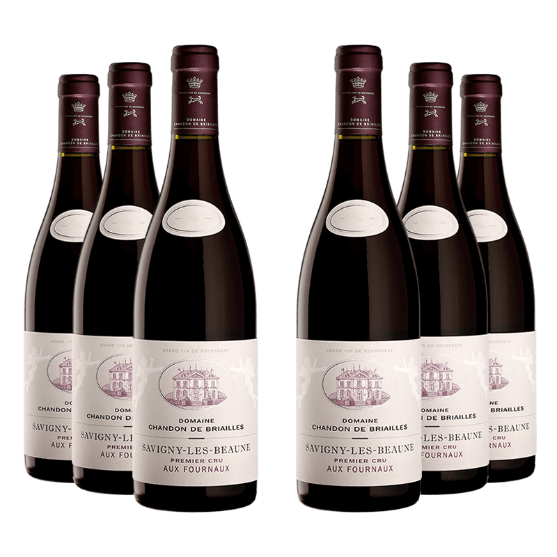 Chandon de Briailles : Savigny-Les-Beaune 1er cru "Aux Fournaux" 2022 Chandon de Briailles : Savigny-Les-Beaune 1er cru "Aux Fournaux" 2022 von Chandon de Briailles