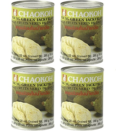 4x Jackfrucht in Wasser fleischersatz vegetarisch vegan grüne jackbaumfrucht 4x 560g jack fruit nangka 4x Jackfrucht in Wasser fleischersatz vegetarisch vegan grüne jackbaumfrucht 4x 560g jack fruit nangka von bick.shop